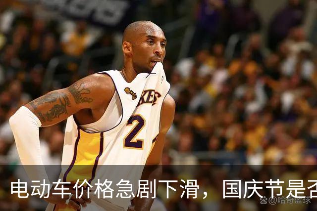 电动车价格急剧下滑，国庆节是否是购车良机？